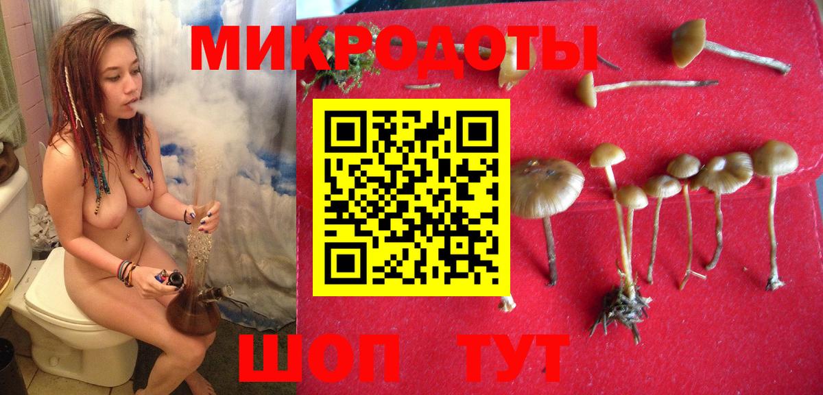 Псилоцибиновые грибы Cubensis Лесозаводск
