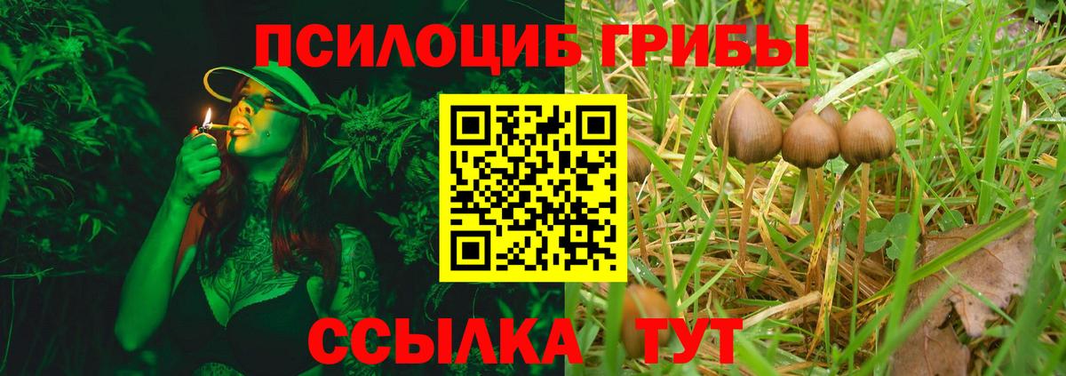 Галлюциногенные грибы мицелий  Псилоцибиновые грибы GOLDEN TEACHER  Лесозаводск  Вход с VPN 